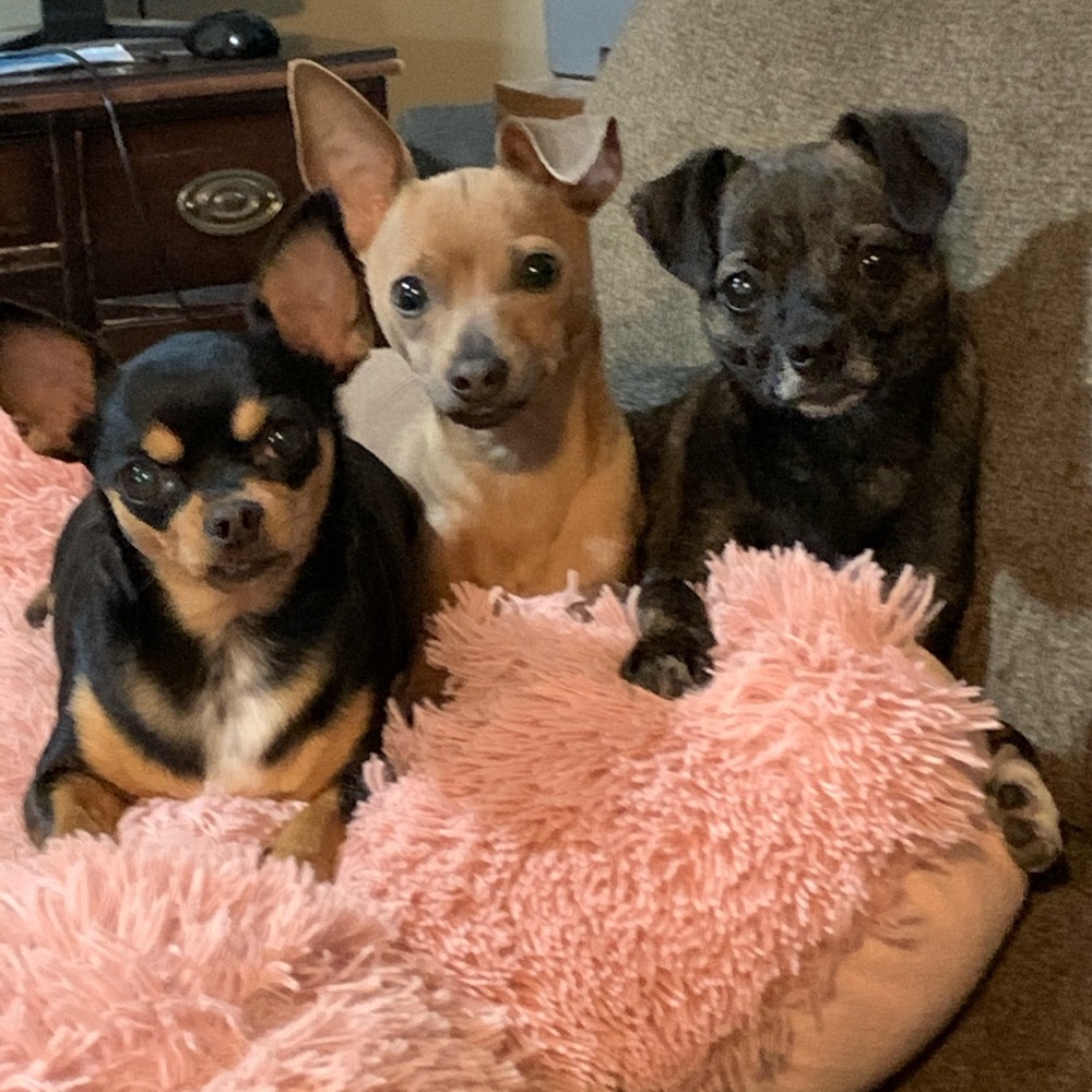 Meet your Posher, Rhonda